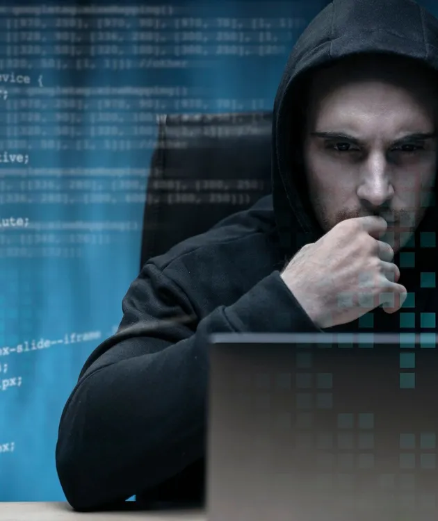 security professional